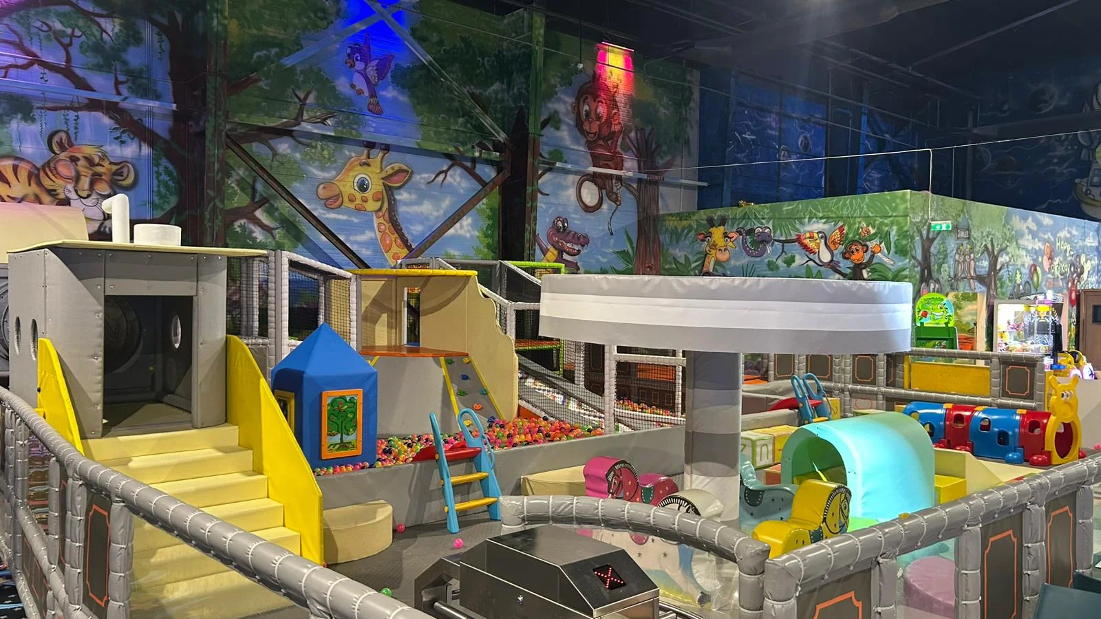 Toddler Arena